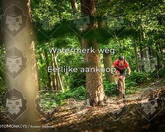 Bartje 200 photo