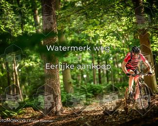 Bartje 200 photo