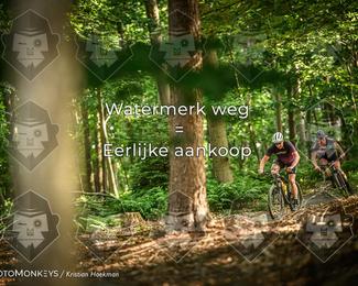 Bartje 200 photo