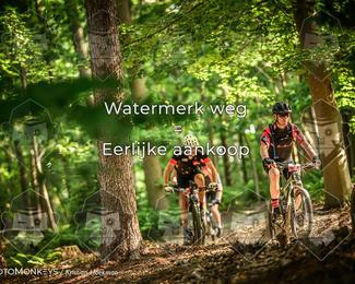 Bartje 200 photo