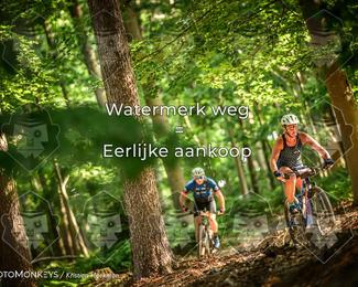 Bartje 200 photo