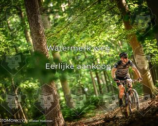 Bartje 200 photo