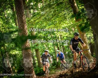 Bartje 200 photo