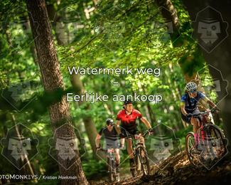 Bartje 200 photo