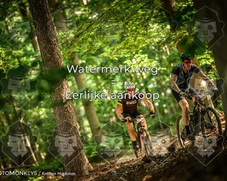 Bartje 200 photo