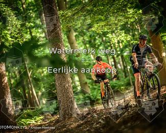 Bartje 200 photo