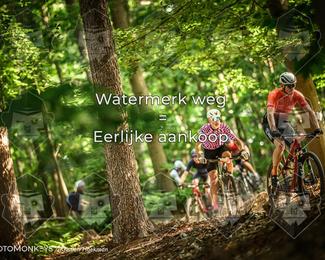 Bartje 200 photo