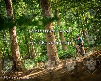 Bartje 200 photo