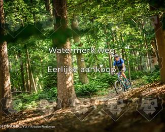Bartje 200 photo