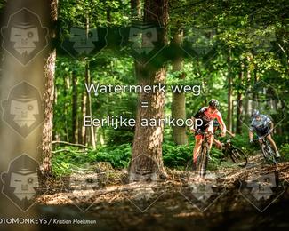 Bartje 200 photo