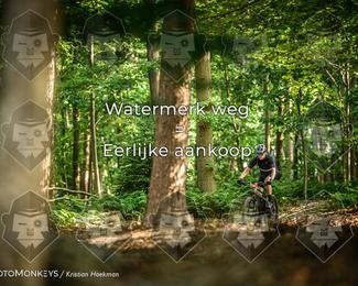 Bartje 200 photo