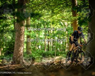 Bartje 200 photo