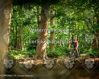 Bartje 200 photo