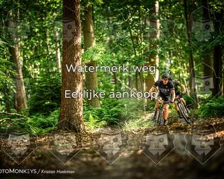 Bartje 200 photo
