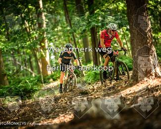 Bartje 200 photo
