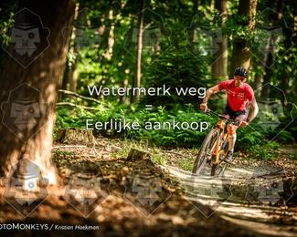 Bartje 200 photo