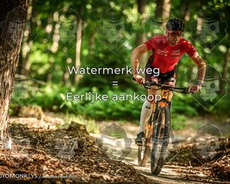 Bartje 200 photo