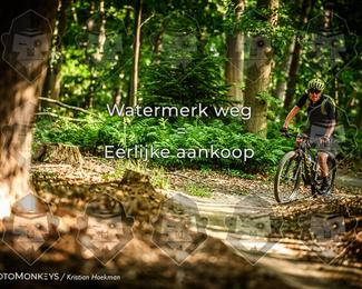 Bartje 200 photo