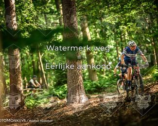 Bartje 200 photo