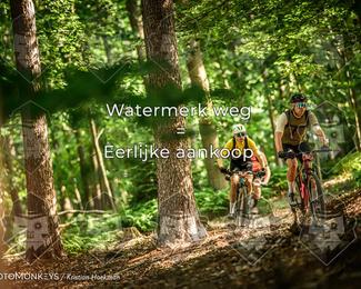 Bartje 200 photo