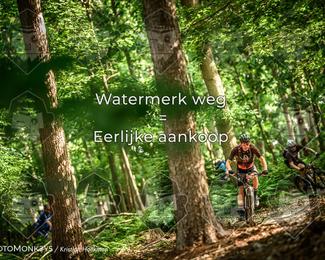 Bartje 200 photo