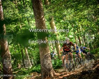 Bartje 200 photo