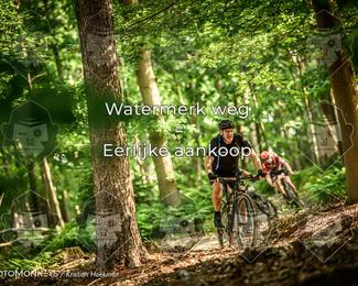 Bartje 200 photo