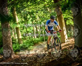 Bartje 200 photo
