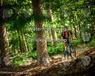 Bartje 200 photo