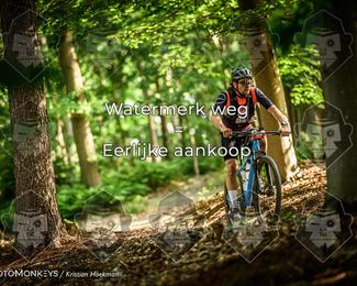 Bartje 200 photo
