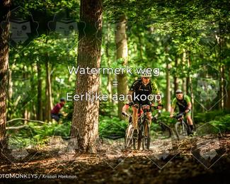 Bartje 200 photo