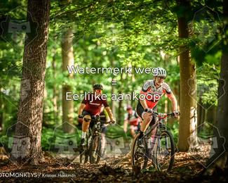Bartje 200 photo