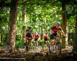 Bartje 200 photo