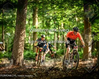 Bartje 200 photo
