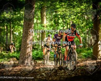 Bartje 200 photo