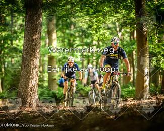 Bartje 200 photo