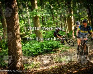 Bartje 200 photo