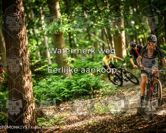 Bartje 200 photo