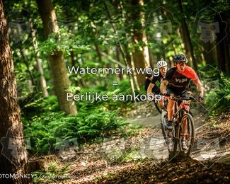 Bartje 200 photo
