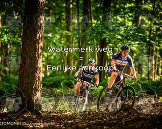 Bartje 200 photo