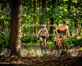 Bartje 200 photo