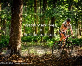 Bartje 200 photo