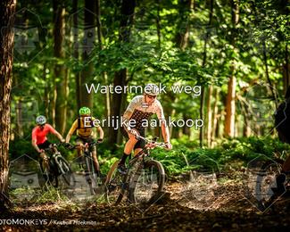 Bartje 200 photo