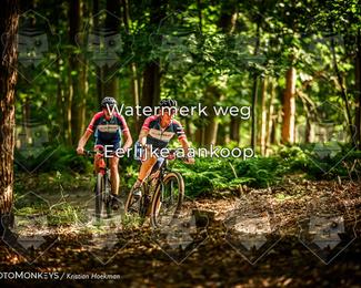 Bartje 200 photo