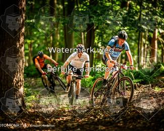 Bartje 200 photo