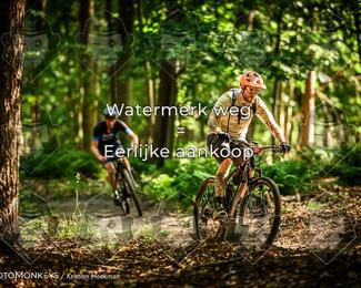 Bartje 200 photo