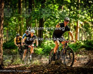 Bartje 200 photo