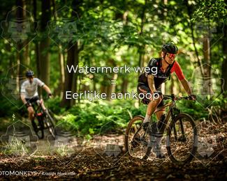 Bartje 200 photo