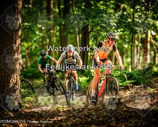 Bartje 200 photo