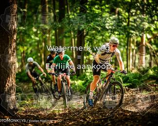 Bartje 200 photo